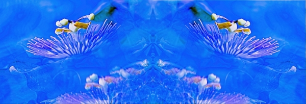 Eugenie - Fine art - Blue - pattern - reflection